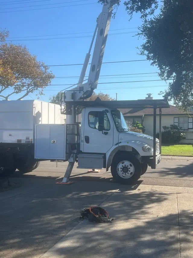 MATHEY TREE CARE — customer photo 5
