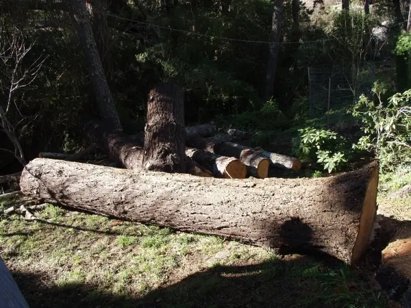 Neck of the Woods Tree Service — photo from the business 9