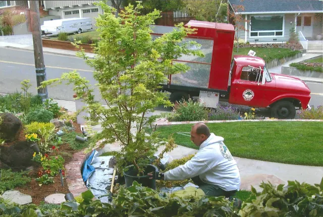 Neck of the Woods Tree Service — photo from the business 10