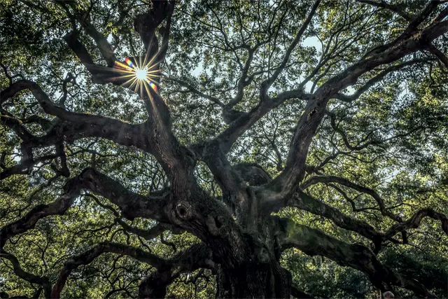 Neck of the Woods Tree Service — photo from the business 1