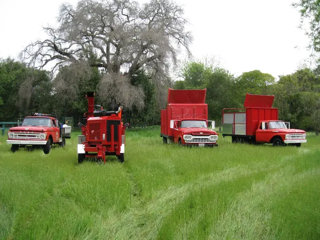 Neck of the Woods Tree Service — photo from the business 5