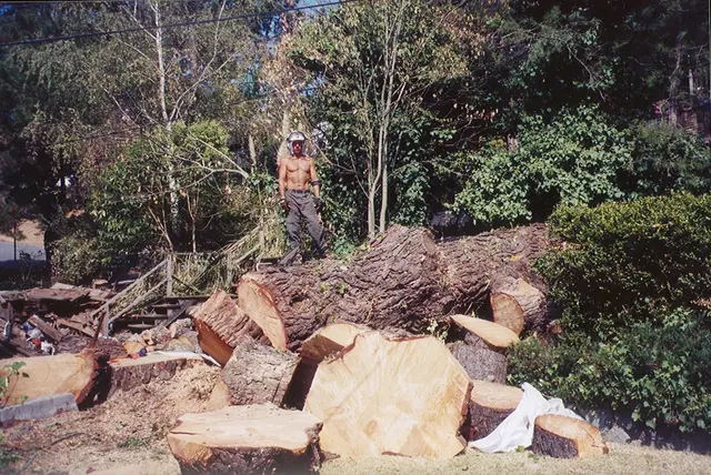 Neck of the Woods Tree Service — photo from the business 6