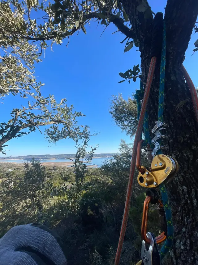 Fuzzell Tree Service — photo from the business 10