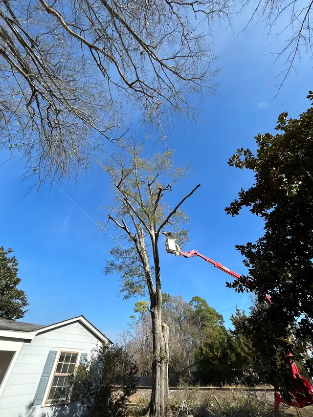 Fuzzell Tree Service — photo from the business 3