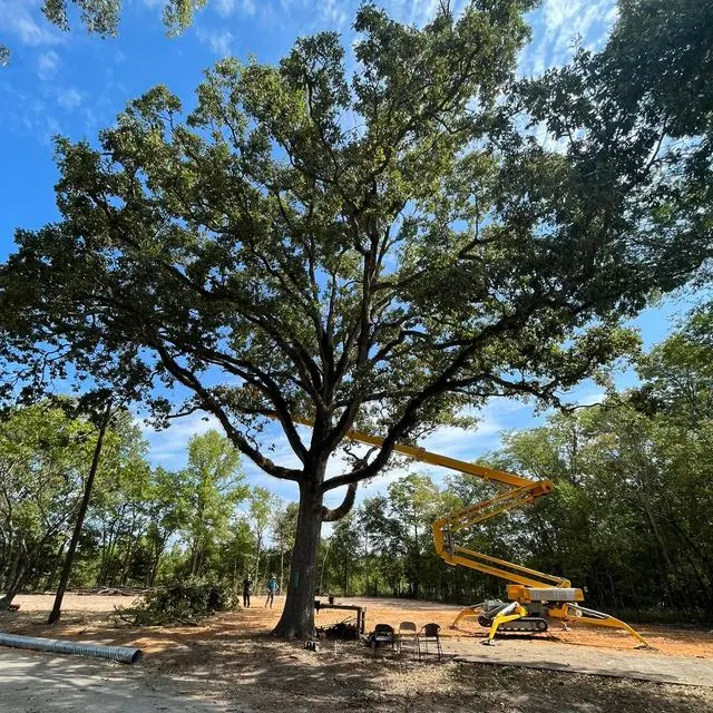 Fuzzell Tree Service — photo from the business 2