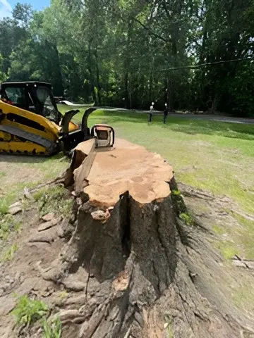 Fuzzell Tree Service — photo from the business 8