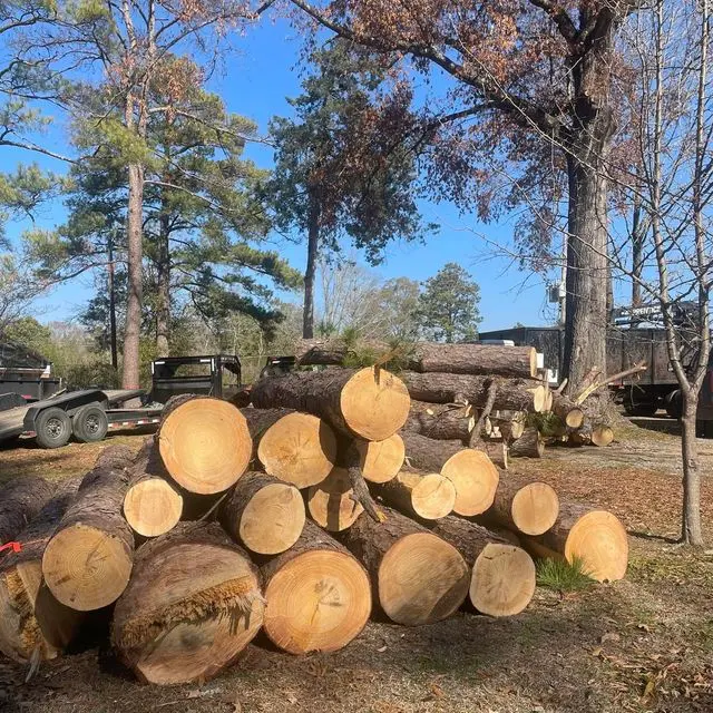 Fuzzell Tree Service — photo from the business 6
