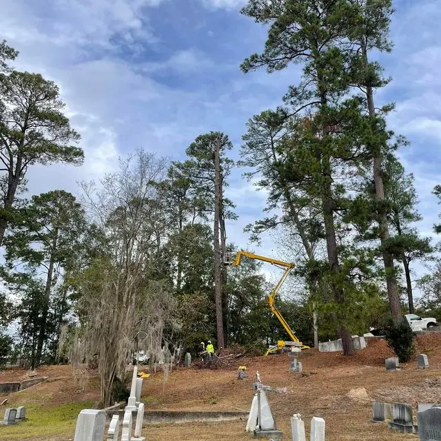 Fuzzell Tree Service — photo from the business 5