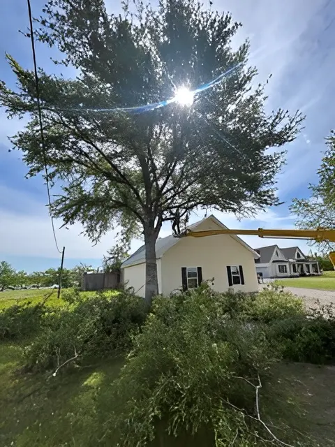 Fuzzell Tree Service — photo from the business 11