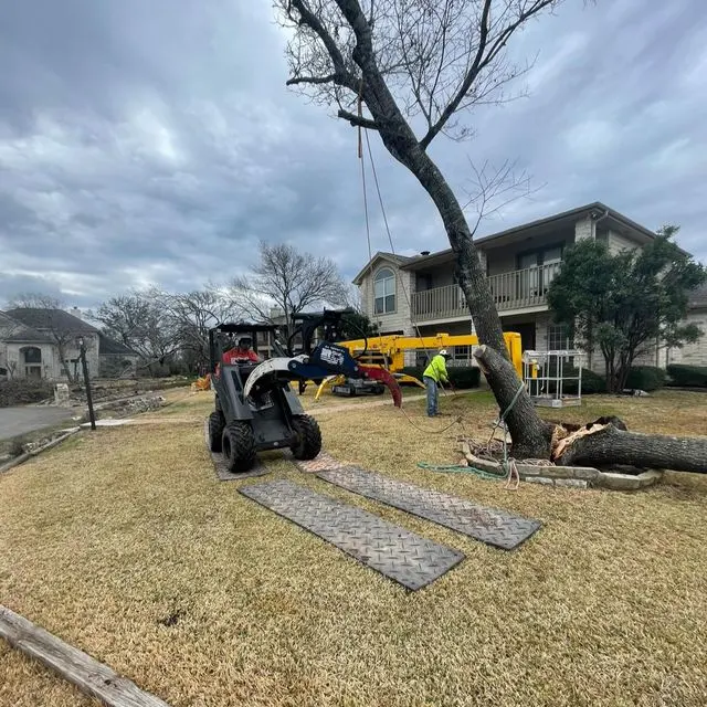 Fuzzell Tree Service — photo from the business 12