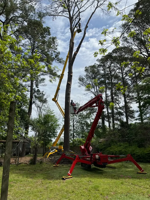 Fuzzell Tree Service — photo from the business 1