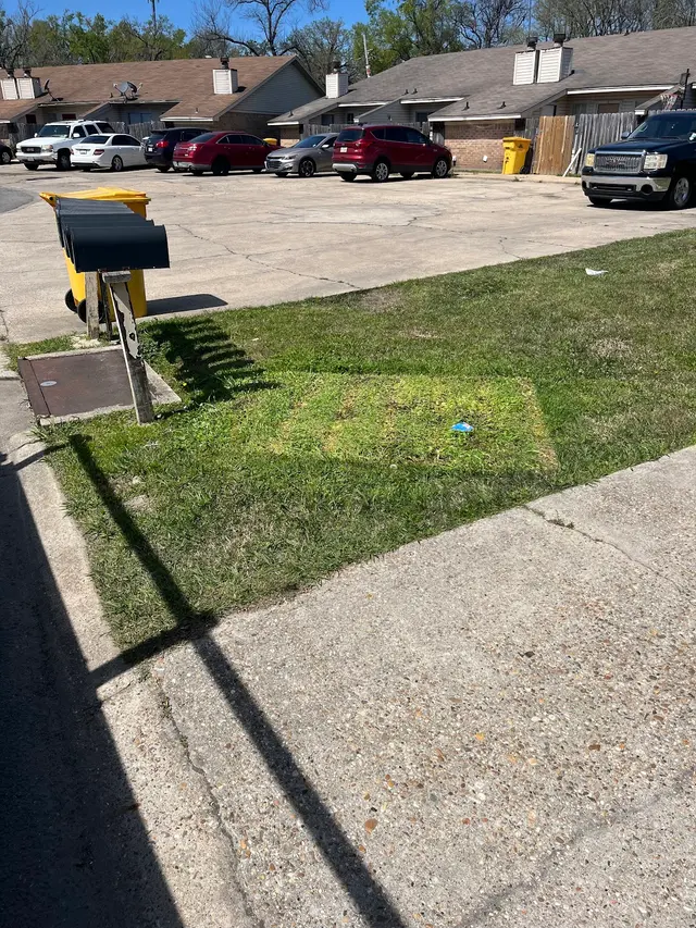Customer photo of work by Tote Junk Removal & Demo, LLC, from Shanice Greer's review