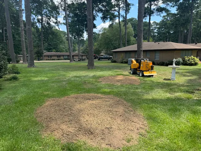 Clay Bryan's Stump Grinding — photo from the business 1