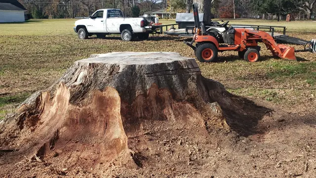 Clay Bryan's Stump Grinding — photo from the business 3