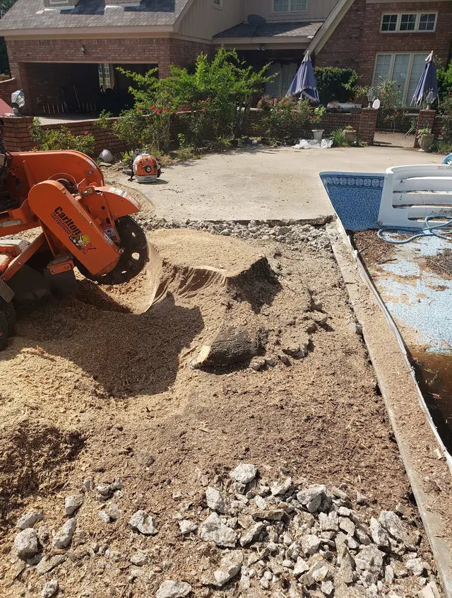 Clay Bryan's Stump Grinding — photo from the business 8
