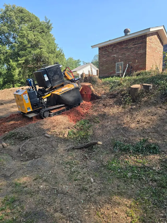 Clay Bryan's Stump Grinding — photo from the business 5