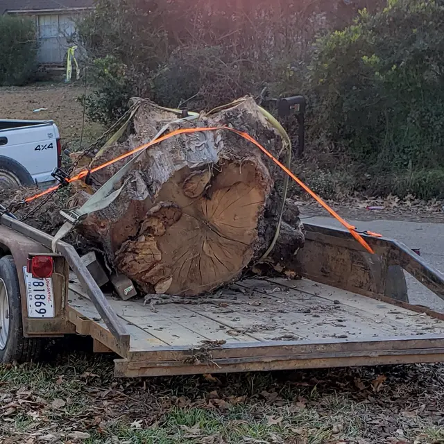 Clay Bryan's Stump Grinding — photo from the business 12