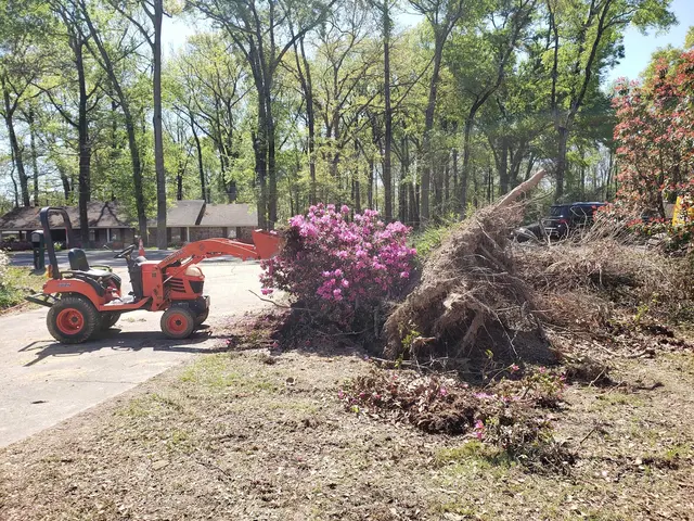 Clay Bryan's Stump Grinding — photo from the business 6