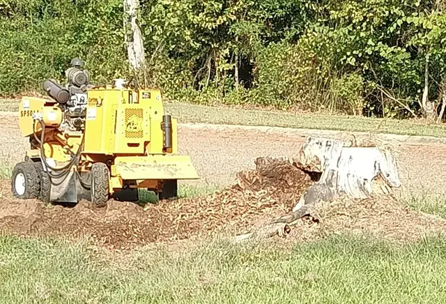 The Stump Guy, LLC — customer photo 10