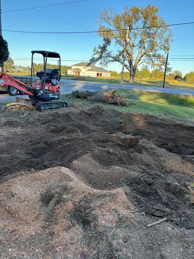 The Stump Guy, LLC — photo from the business 3