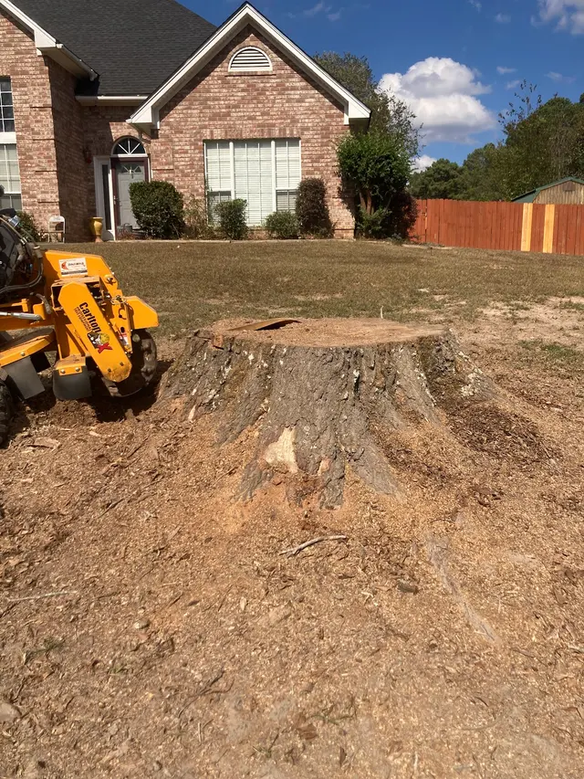 The Stump Guy, LLC — photo from the business 2