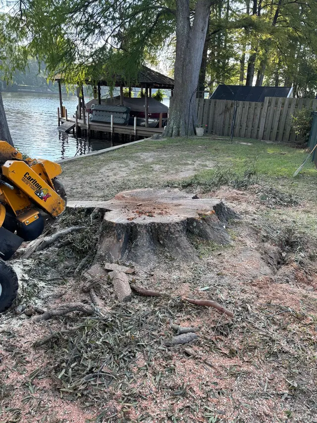The Stump Guy, LLC — photo from the business 8
