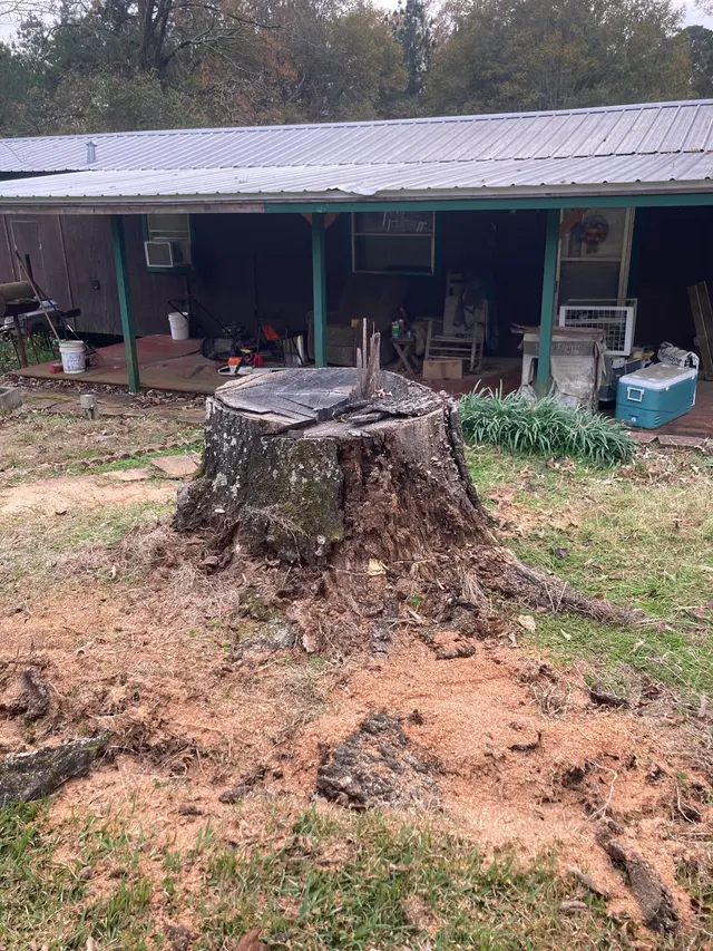 The Stump Guy, LLC — photo from the business 5
