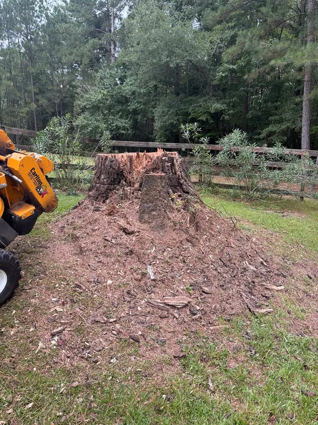 The Stump Guy, LLC — photo from the business 1