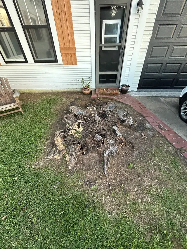 The Stump Guy, LLC — customer photo 9