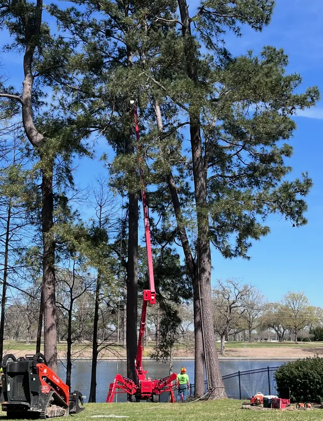 Kirkland Kutters Tree Service — customer photo 4