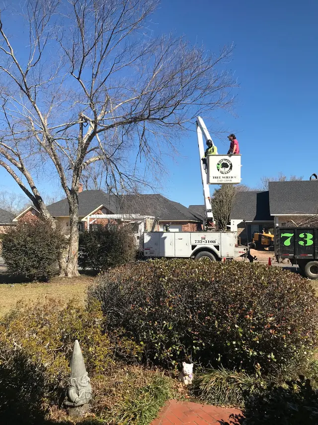 Kirkland Kutters Tree Service — customer photo 10