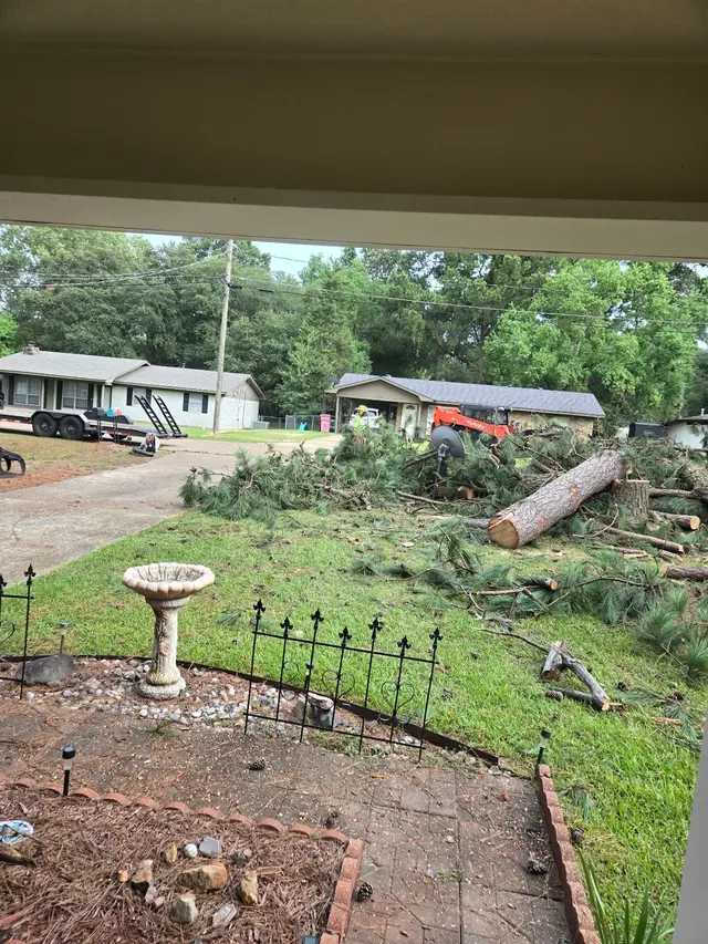 Kirkland Kutters Tree Service — customer photo 8