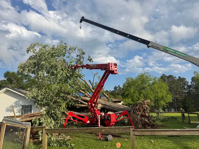 Kirkland Kutters Tree Service — customer photo 2