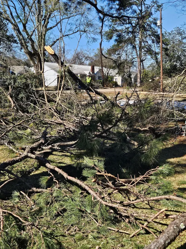 Kirkland Kutters Tree Service — customer photo 1