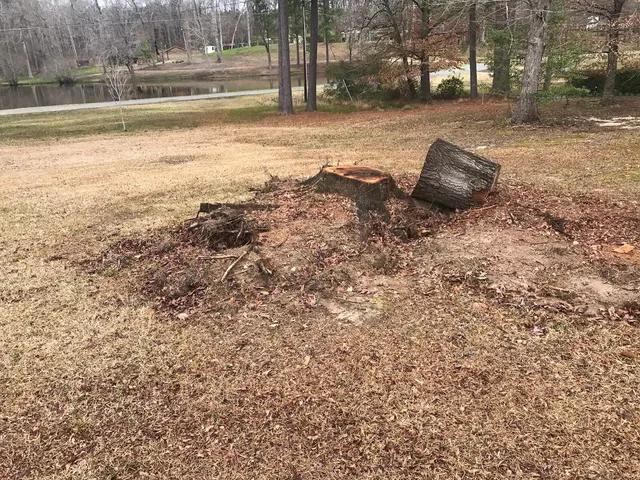 Ross Stump Grinding — customer photo 3