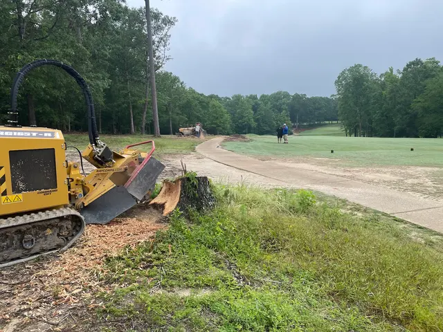 Ross Stump Grinding — customer photo 10