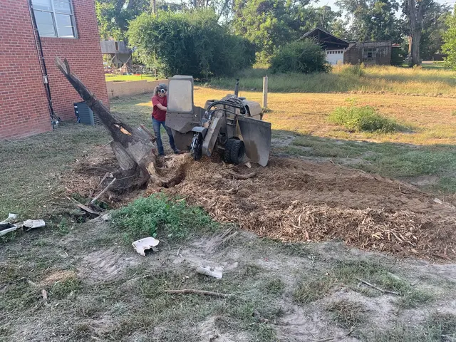 Ross Stump Grinding — customer photo 6