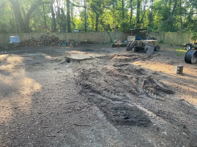 Ross Stump Grinding — customer photo 12