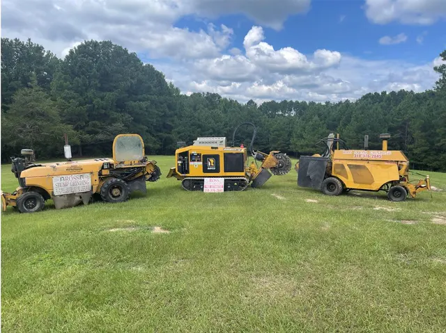 Ross Stump Grinding — photo from the business 1