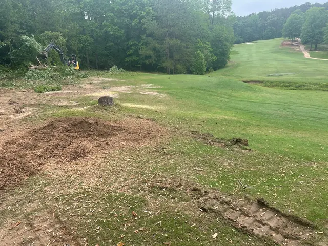 Ross Stump Grinding — customer photo 4