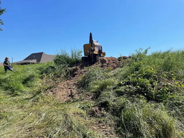 Ross Stump Grinding — customer photo 5
