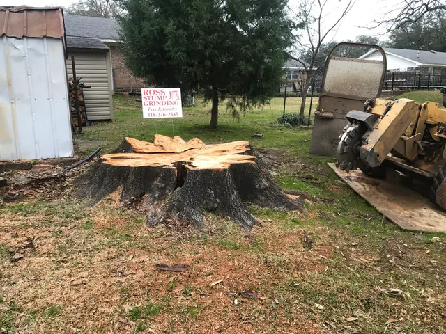 Ross Stump Grinding — customer photo 9
