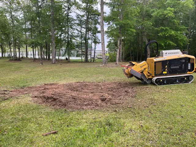 Ross Stump Grinding — customer photo 2