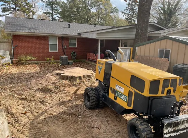 MAD Stump Grinding and More LLC — photo from the business 5