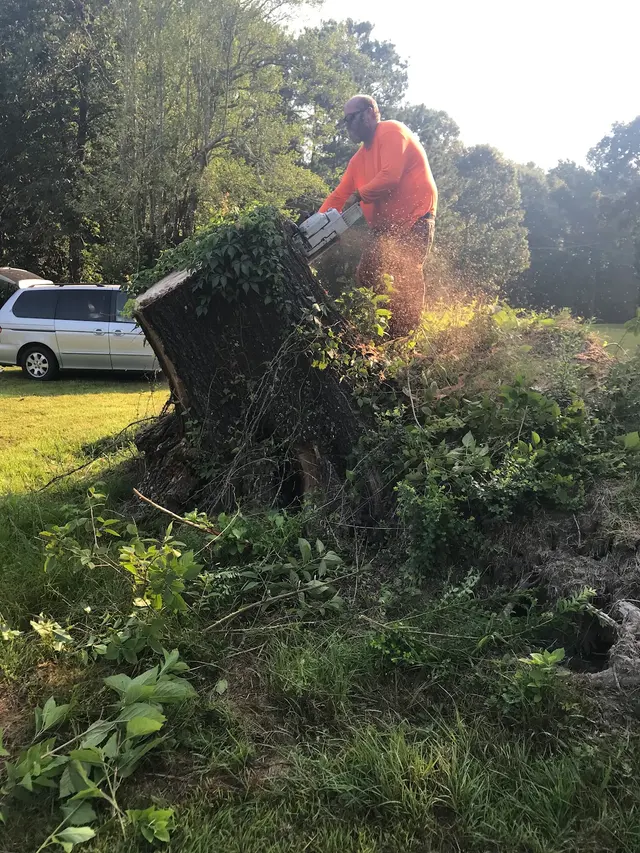 MAD Stump Grinding and More LLC — photo from the business 6
