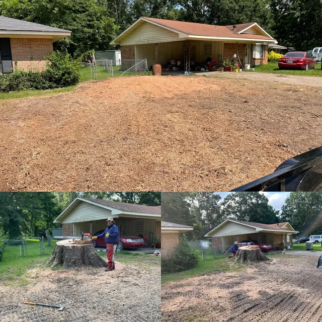 MAD Stump Grinding and More LLC — photo from the business 2