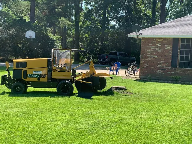 MAD Stump Grinding and More LLC — photo from the business 11