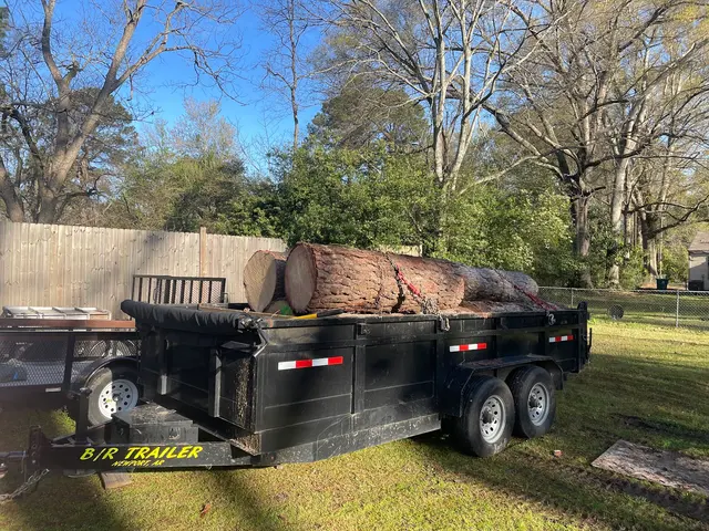 MAD Stump Grinding and More LLC — photo from the business 4