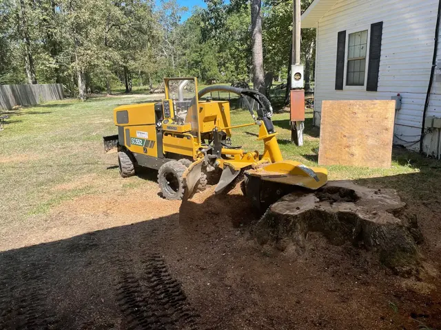 MAD Stump Grinding and More LLC — photo from the business 3