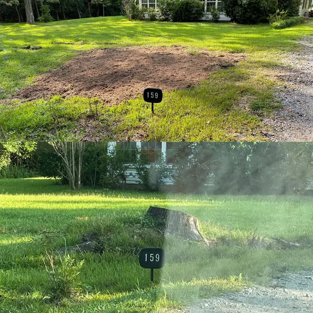MAD Stump Grinding and More LLC — photo from the business 10